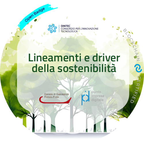 Lineamenti e driver della sostenibilità